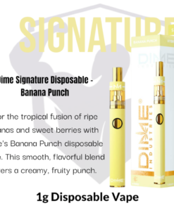 Dime Industries: Banana Punch 1000mg All in One Device