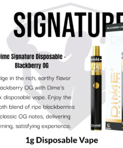 Dime Industries: Blackberry OG 1000mg All in One Device