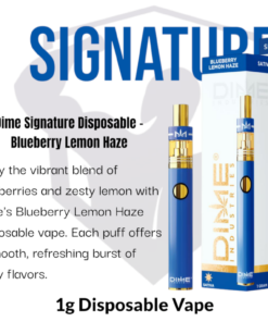 Dime Industries: Blueberry Lemon Haze 1000mg All in One Device