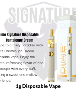 Dime Industries: Cantaloupe Dream 1000mg All in One Device