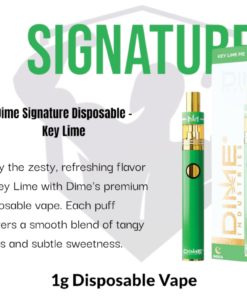 Dime Industries: Key Lime 1000mg All in One Device
