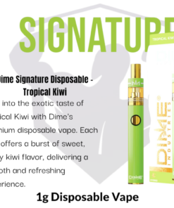 Dime Industries: Tropical Kiwi 1000mg All in One Device